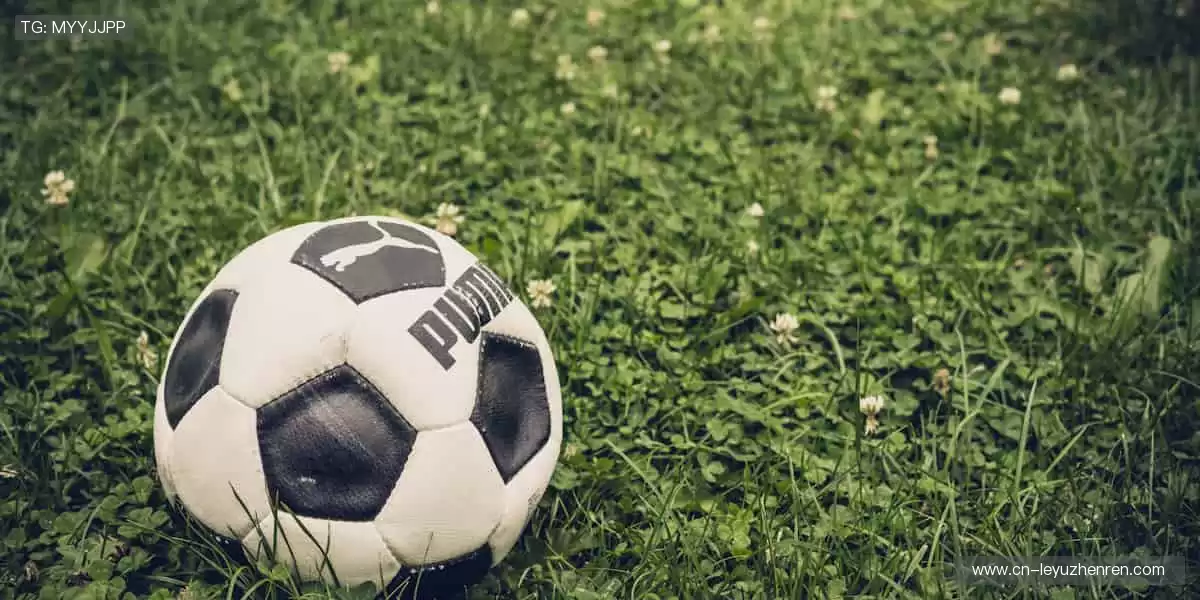 🎯 专业装备，助力你突破极限，成就传奇！🎮